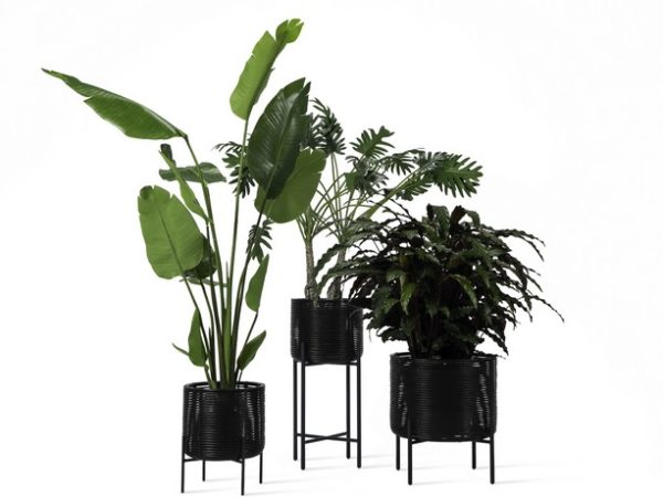 magasin déco nantes : support de plantes vincent sheppard