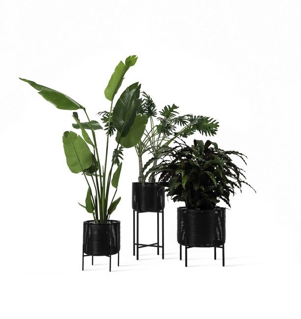 magasin déco nantes : support de plantes vincent sheppard